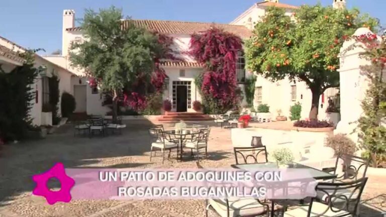 Empresas de Catering para Bodas en Paterna