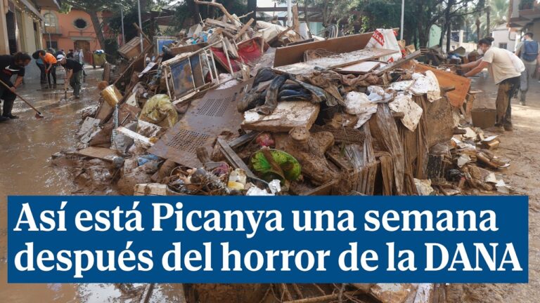 Descubre qué hacer en Picanya