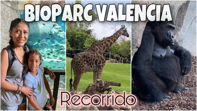 Los Mejores Parques de Valencia: Gu&iacute;a de Descubrimiento