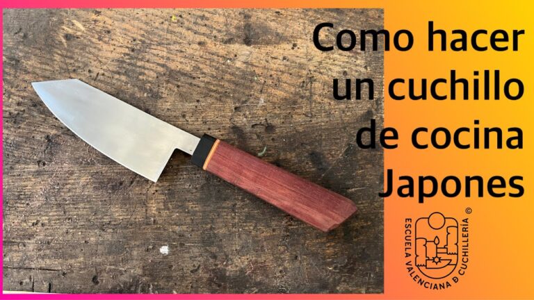 Cursos de Cocina en Alboraya: Mejores Opciones y Recomendaciones