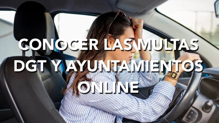 C&oacute;mo verificar multas pendientes en Valencia