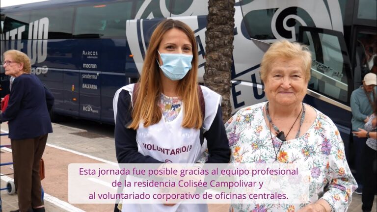 Actividades de Voluntariado en Picanya: Oportunidades para Contribuir