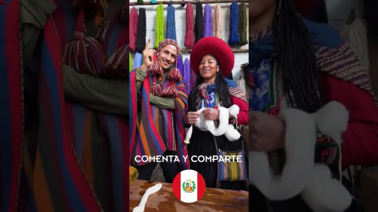 Guía para Encontrar Productos Ecológicos en Paterna
