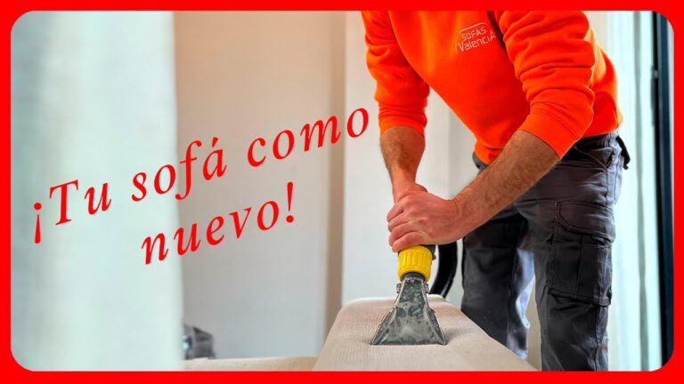 Empresas de Limpieza en Burjassot: Opciones y Servicios