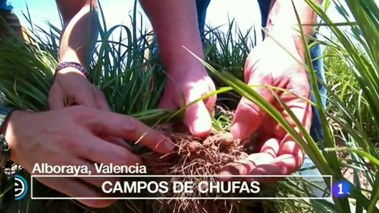 Dónde adquirir productos de salud natural en Quart de Poblet