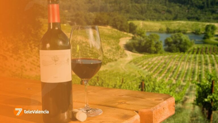 Ruta de Vinos Desde Aldaia: Mejores Destinos y Recomendaciones