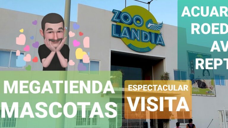 Guía de Compras: Productos para Mascotas en Alboraya