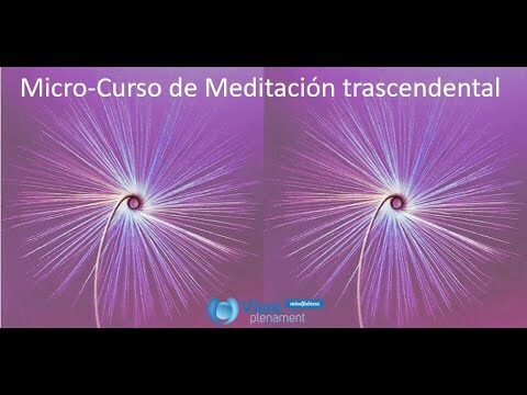 Guía de Clases de Meditación Guiada en Valencia