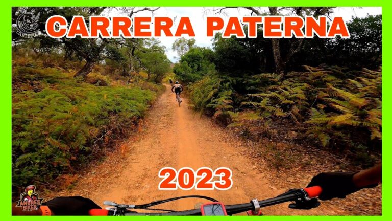 Transporte en bicicleta en Paterna: Análisis y Experiencias