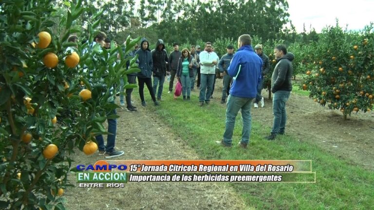 Opciones de ayuda para pagar la luz en Quart de Poblet