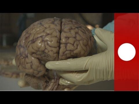 Guía para Víctimas de Fraude en Mislata