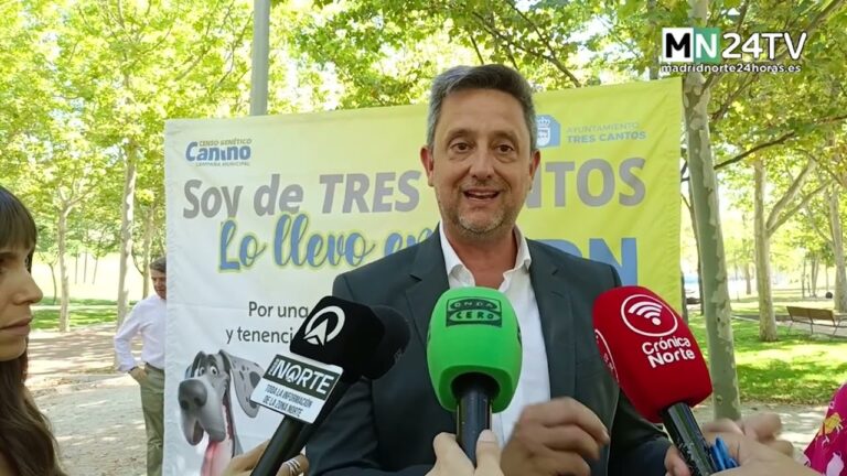 Clínicas Veterinarias en Aldaia: Guía Completa